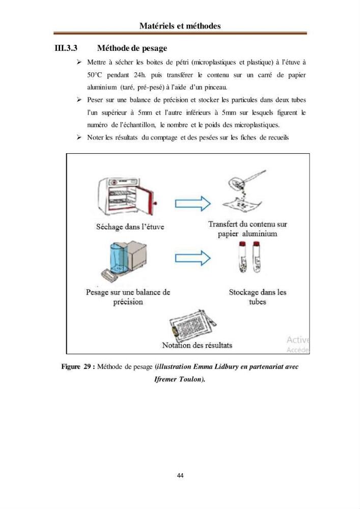 Evaluation quantitative des microplastiques dans la baie de Bou-Ismail