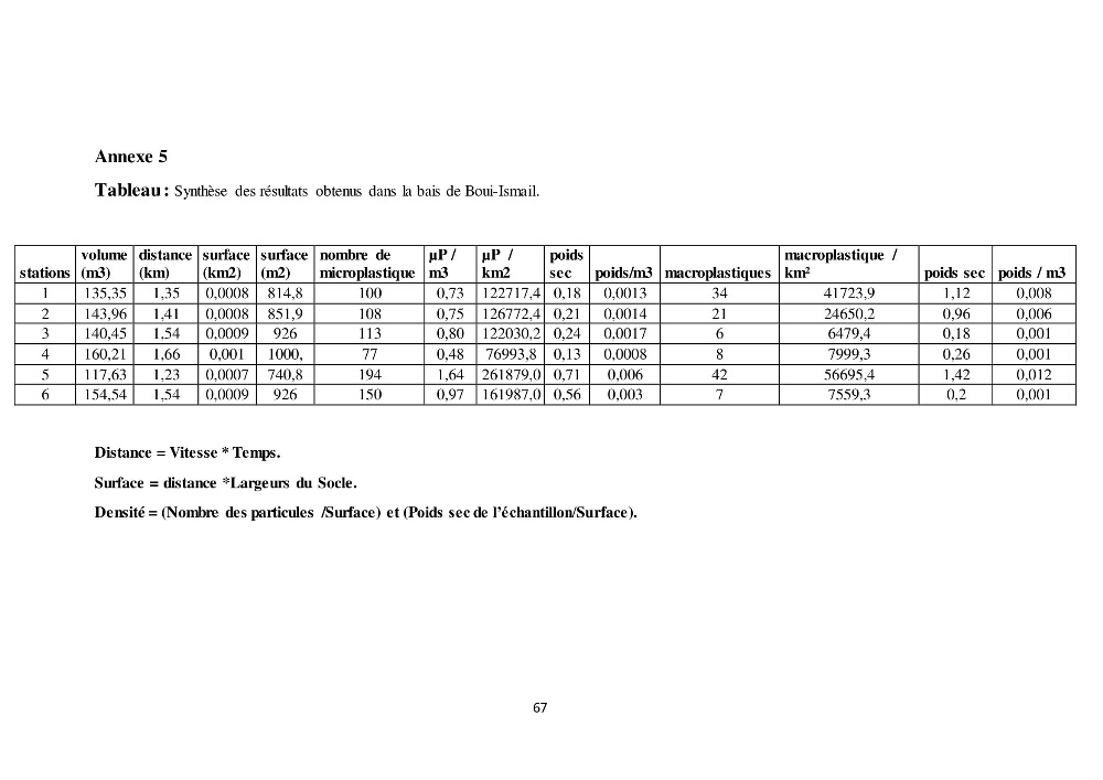 Evaluation quantitative des microplastiques dans la baie de Bou-Ismail