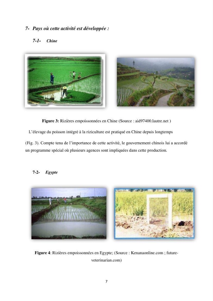 Intégration de l\'Aquaculture à l\'agriculture en Algerie. Cas de la wilaya de Ouargla