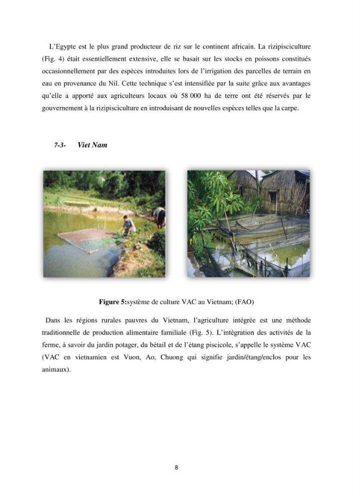 Intégration de l\'Aquaculture à l\'agriculture en Algerie. Cas de la wilaya de Ouargla
