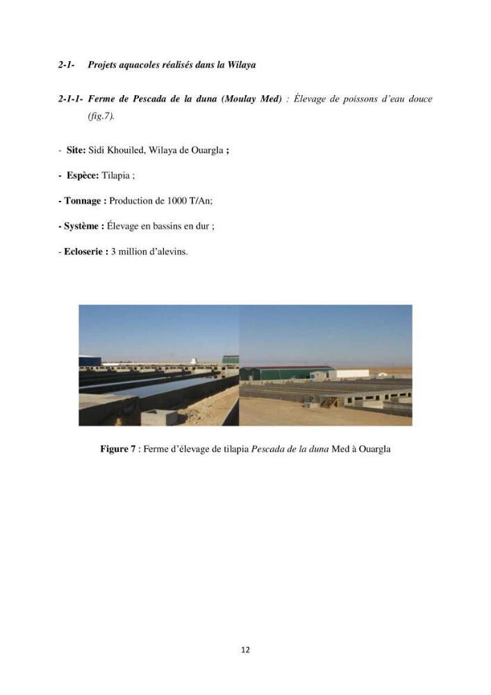 Intégration de l\'Aquaculture à l\'agriculture en Algerie. Cas de la wilaya de Ouargla