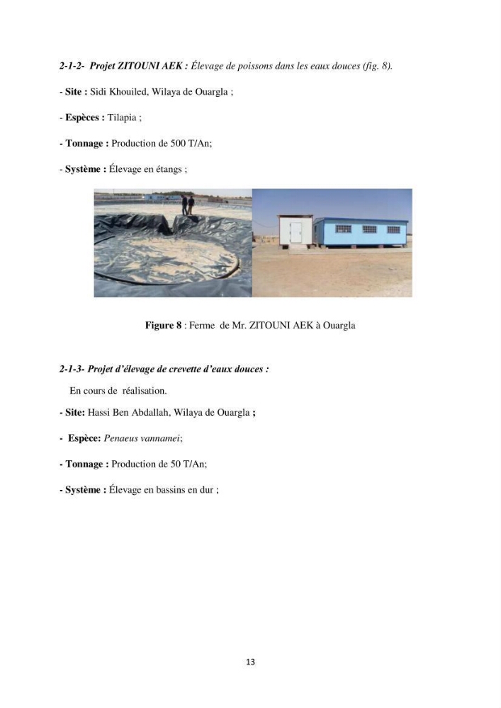 Intégration de l\'Aquaculture à l\'agriculture en Algerie. Cas de la wilaya de Ouargla