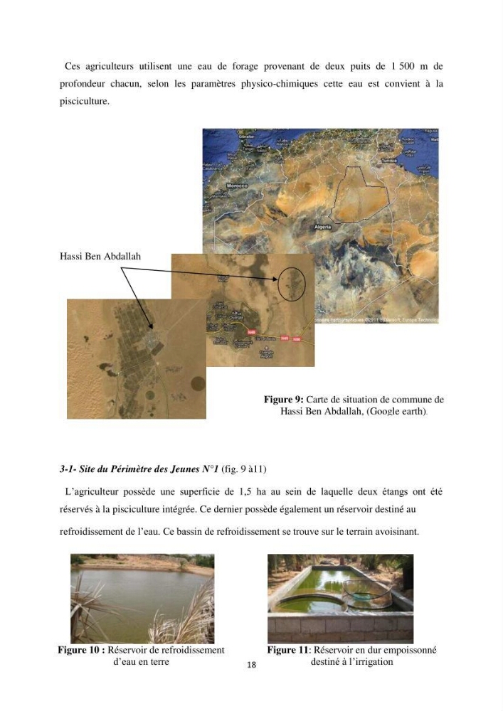 Intégration de l\'Aquaculture à l\'agriculture en Algerie. Cas de la wilaya de Ouargla