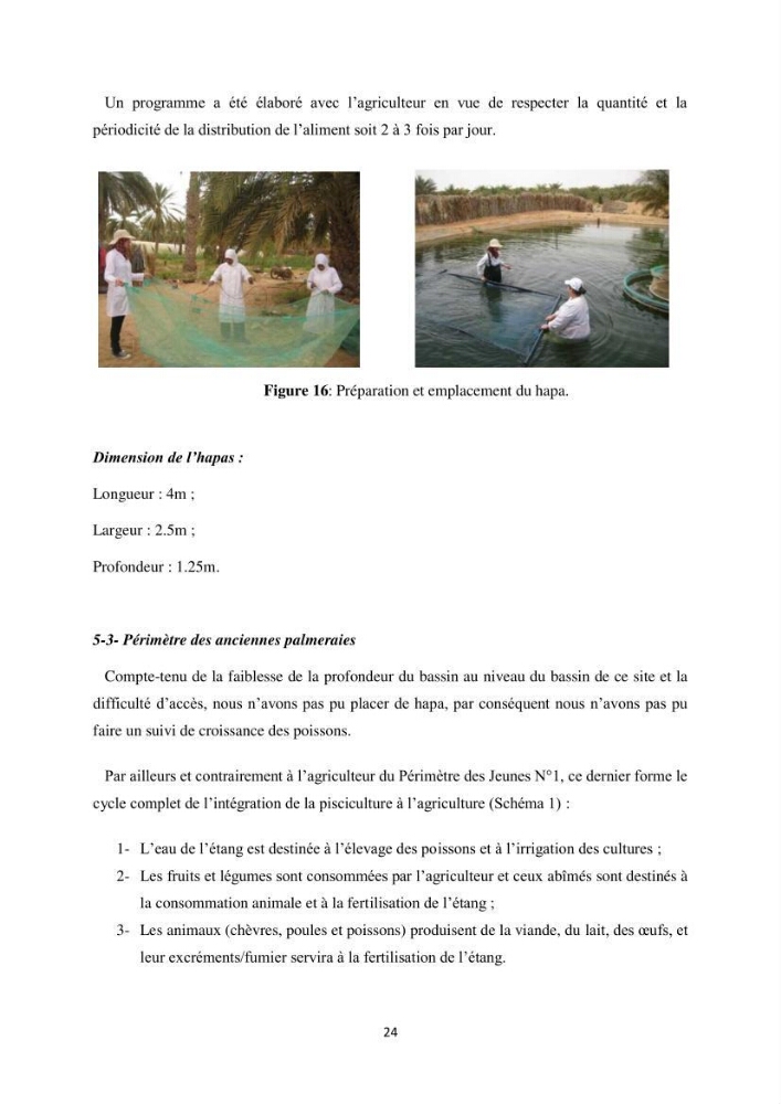 Intégration de l\'Aquaculture à l\'agriculture en Algerie. Cas de la wilaya de Ouargla