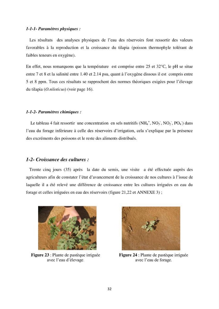 Intégration de l\'Aquaculture à l\'agriculture en Algerie. Cas de la wilaya de Ouargla