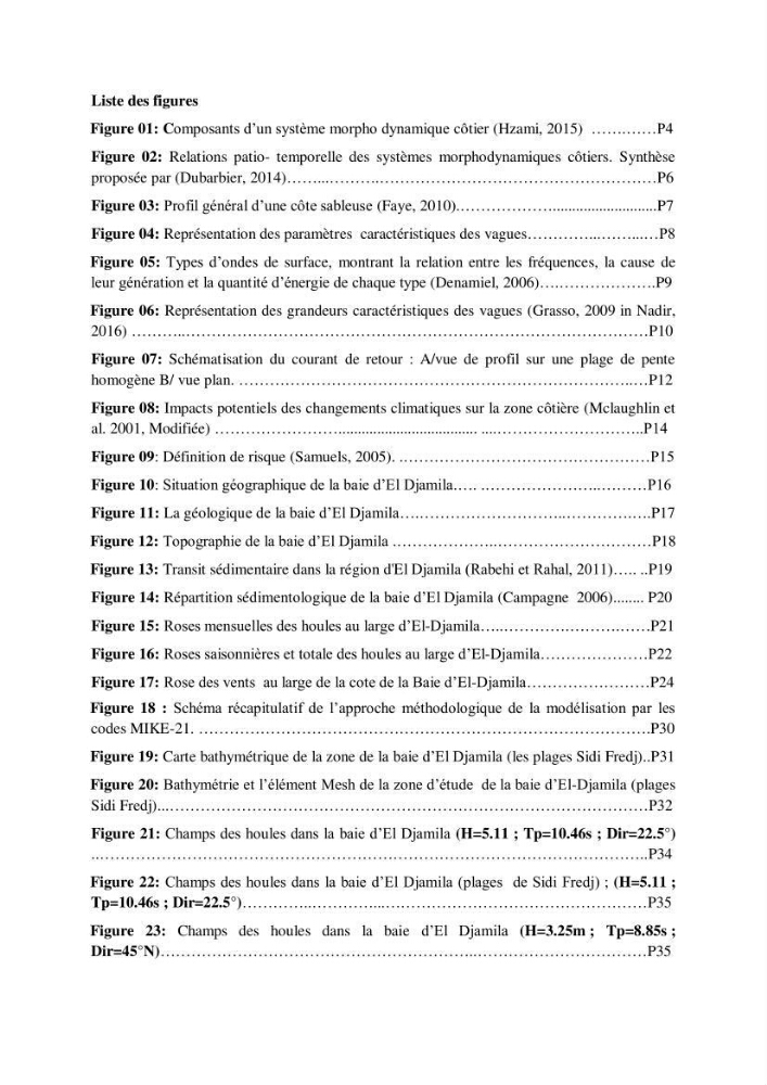 Evolution spatio-temporelle du littoral de la baie d\'El Djamila prévisions des risques et adaptation