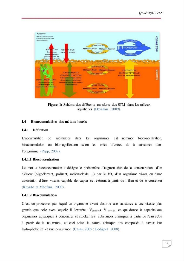 Evaluation des teneurs en métaux lourds dans l\'environnement marin du littoral Algérois chez Patella sp et les moules