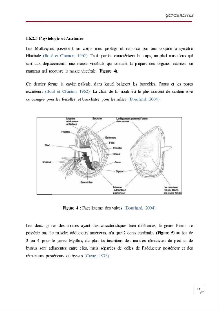 Evaluation des teneurs en métaux lourds dans l\'environnement marin du littoral Algérois chez Patella sp et les moules