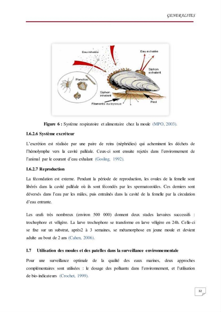 Evaluation des teneurs en métaux lourds dans l\'environnement marin du littoral Algérois chez Patella sp et les moules