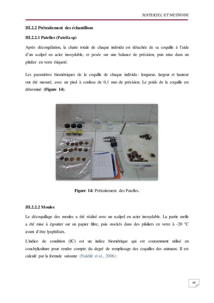 Evaluation des teneurs en métaux lourds dans l\'environnement marin du littoral Algérois chez Patella sp et les moules