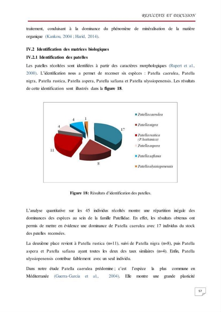 Evaluation des teneurs en métaux lourds dans l\'environnement marin du littoral Algérois chez Patella sp et les moules