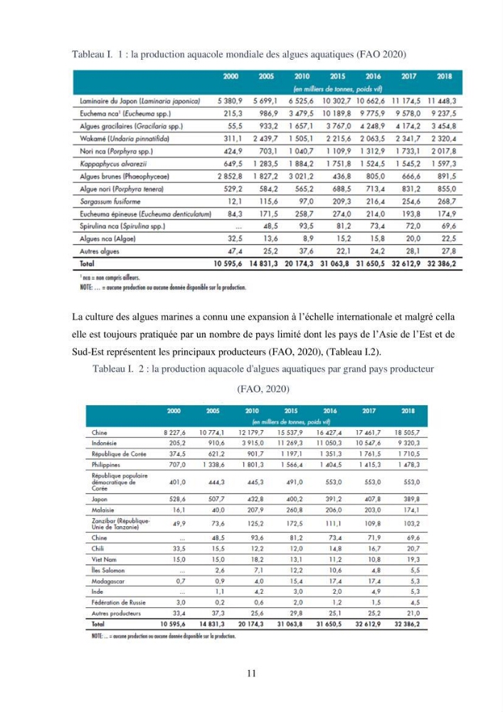 Etude des algues marines de la région de Tipaza :taxonomie et mise en évidence des espèces à intérêt aquacole