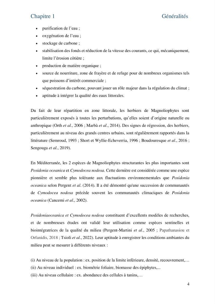 Distribution des cellules a tanins chez les Magnoliophytes marines