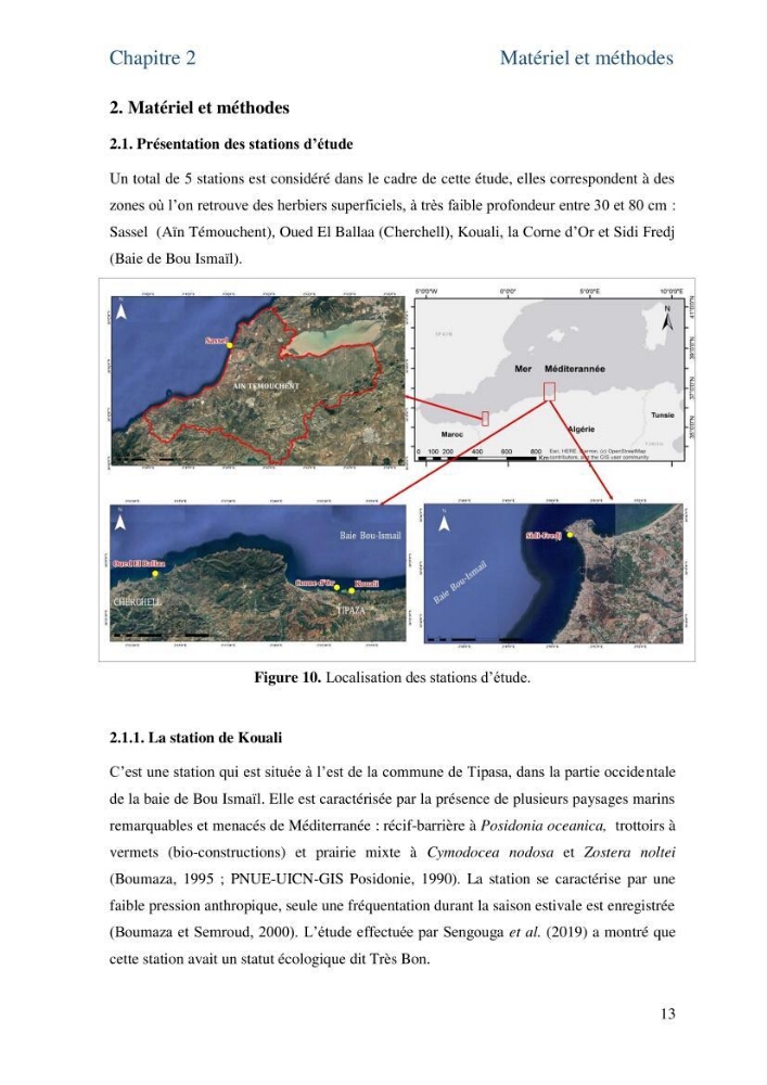 Distribution des cellules a tanins chez les Magnoliophytes marines