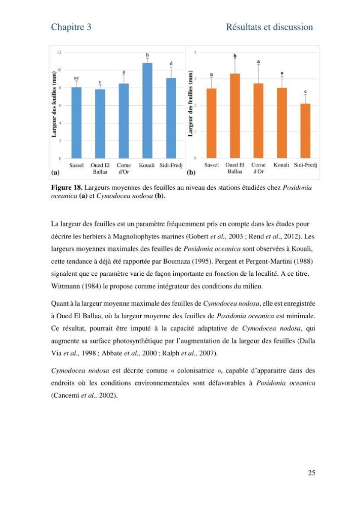 Distribution des cellules a tanins chez les Magnoliophytes marines