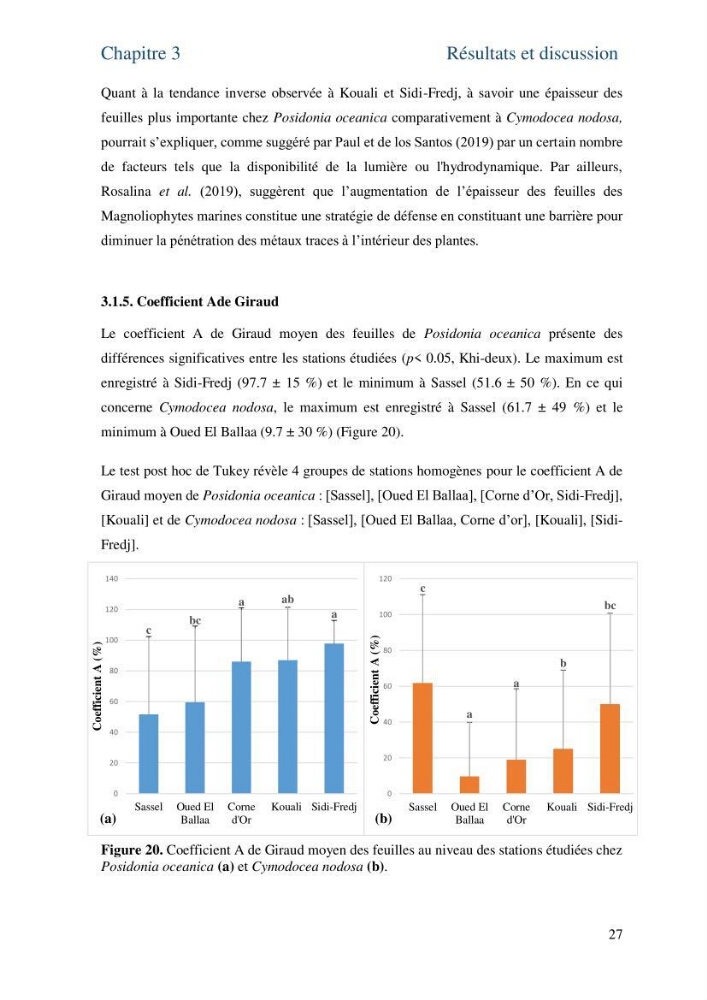 Distribution des cellules a tanins chez les Magnoliophytes marines