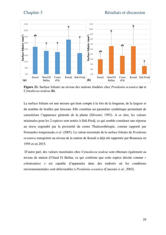 Distribution des cellules a tanins chez les Magnoliophytes marines