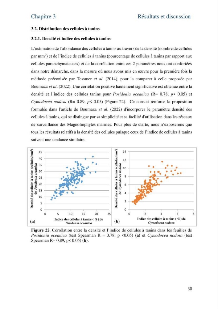 Distribution des cellules a tanins chez les Magnoliophytes marines