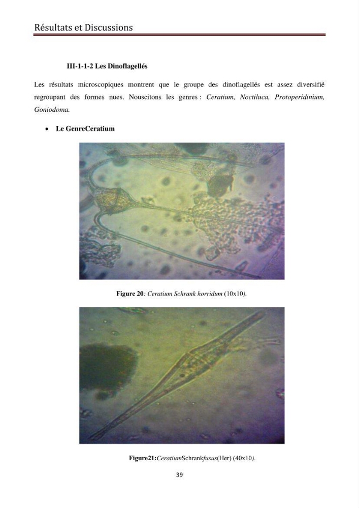 Suivi des populations phytoplanctoniquedans la baie de Bou-Ismail (Avril-Mai 2015).