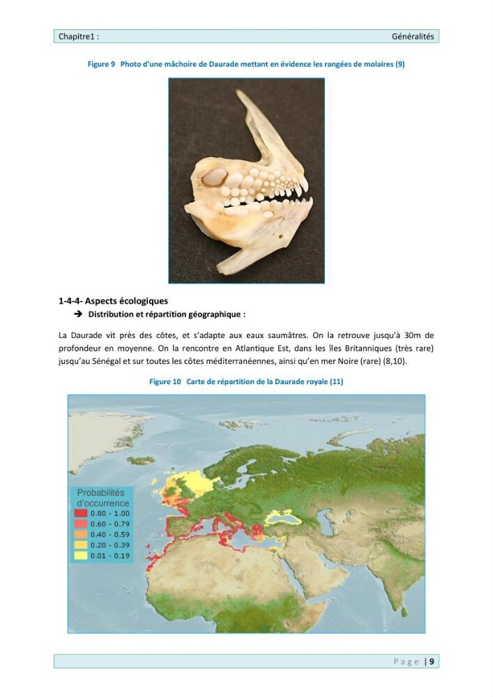 Contribution à la l\'élevage de la Daurade \" Sparus aurata\" en eau réchauffée: cas de la ferme ONDPA Cap Djinet (wilaya de Boumerdes)