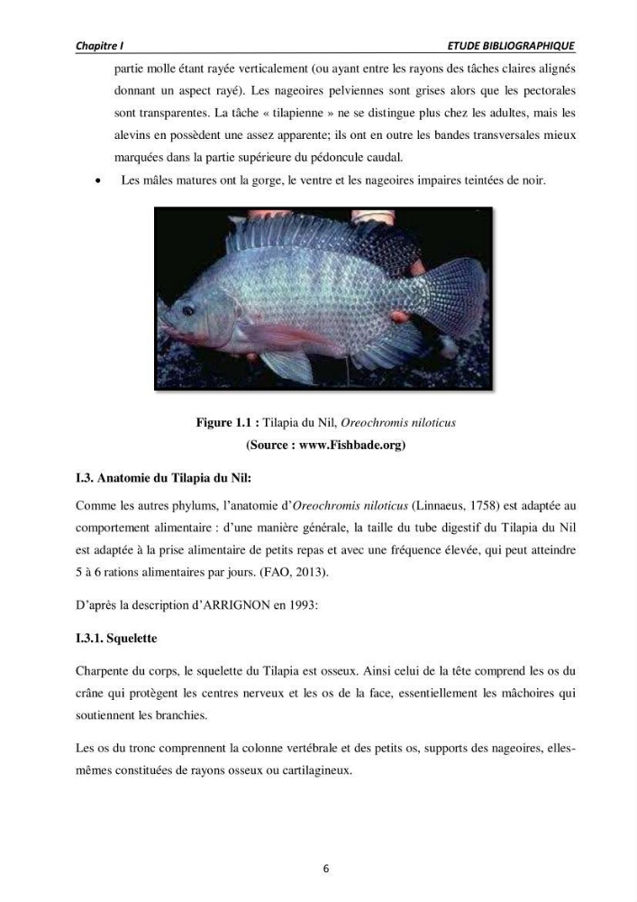 Alimentation des poissons Tilapia au stade juvénile à base d’un aliment fabriqué avec des ressources locales