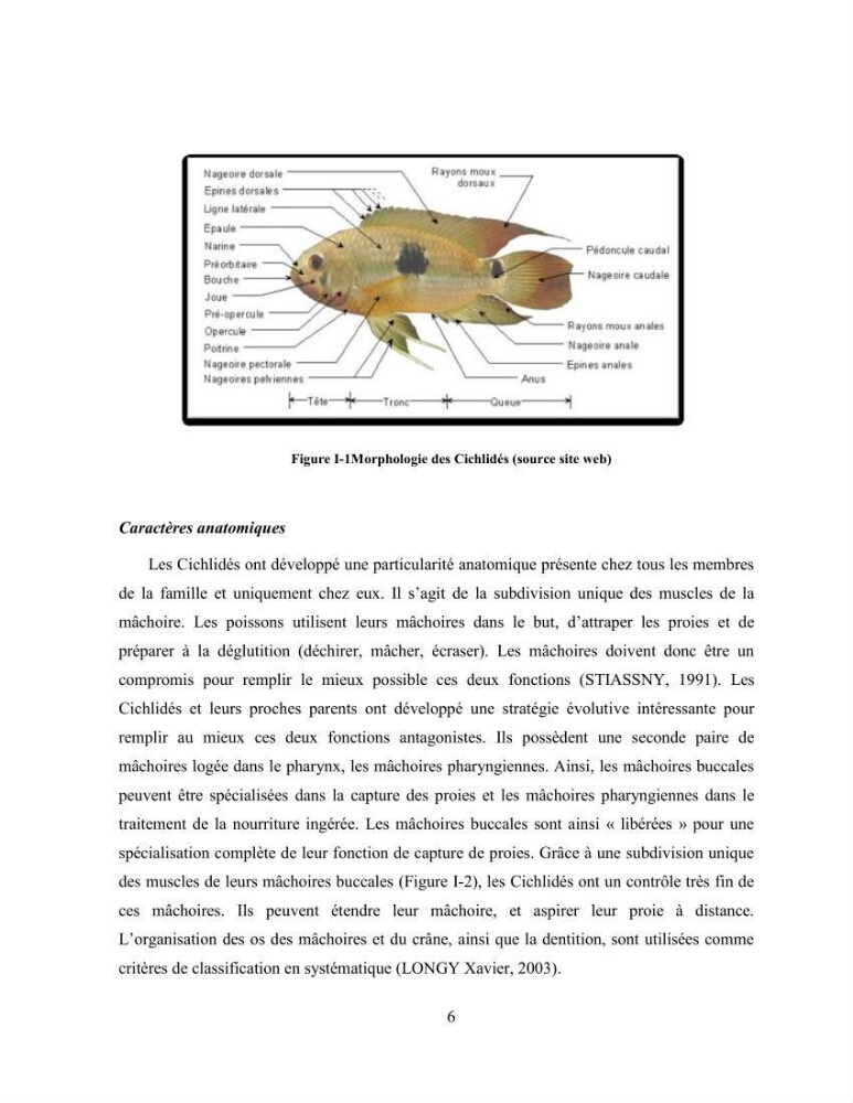 Suivi zootechnique de l’efficacité de six aliments fabriqués localement sur la croissance et la pigmentation des Cichlidés américains cas de Pterophyllum scalare. et Andinoacara rivulatus.