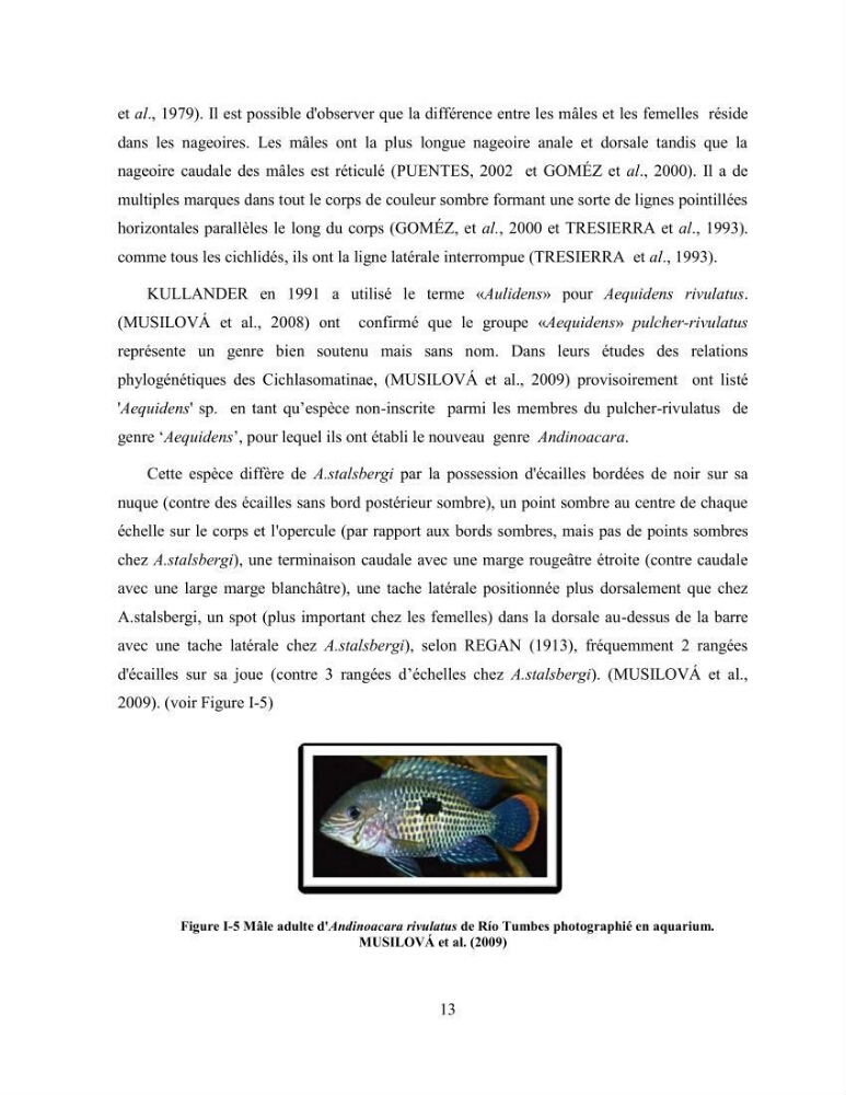 Suivi zootechnique de l’efficacité de six aliments fabriqués localement sur la croissance et la pigmentation des Cichlidés américains cas de Pterophyllum scalare. et Andinoacara rivulatus.