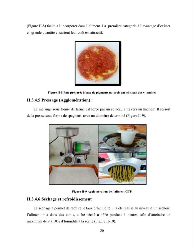Suivi zootechnique de l’efficacité de six aliments fabriqués localement sur la croissance et la pigmentation des Cichlidés américains cas de Pterophyllum scalare. et Andinoacara rivulatus.