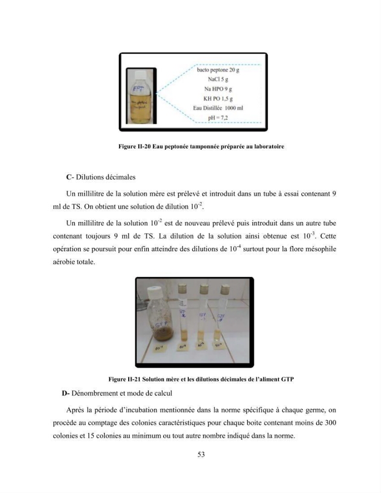 Suivi zootechnique de l’efficacité de six aliments fabriqués localement sur la croissance et la pigmentation des Cichlidés américains cas de Pterophyllum scalare. et Andinoacara rivulatus.