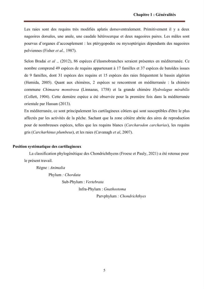 Contribution à l’actualisation de l’inventaire des Chondrichthyens exploités dans les côtes algériennes: biologie de reproduction, régime alimentaire et exploitation de quelques représentants.