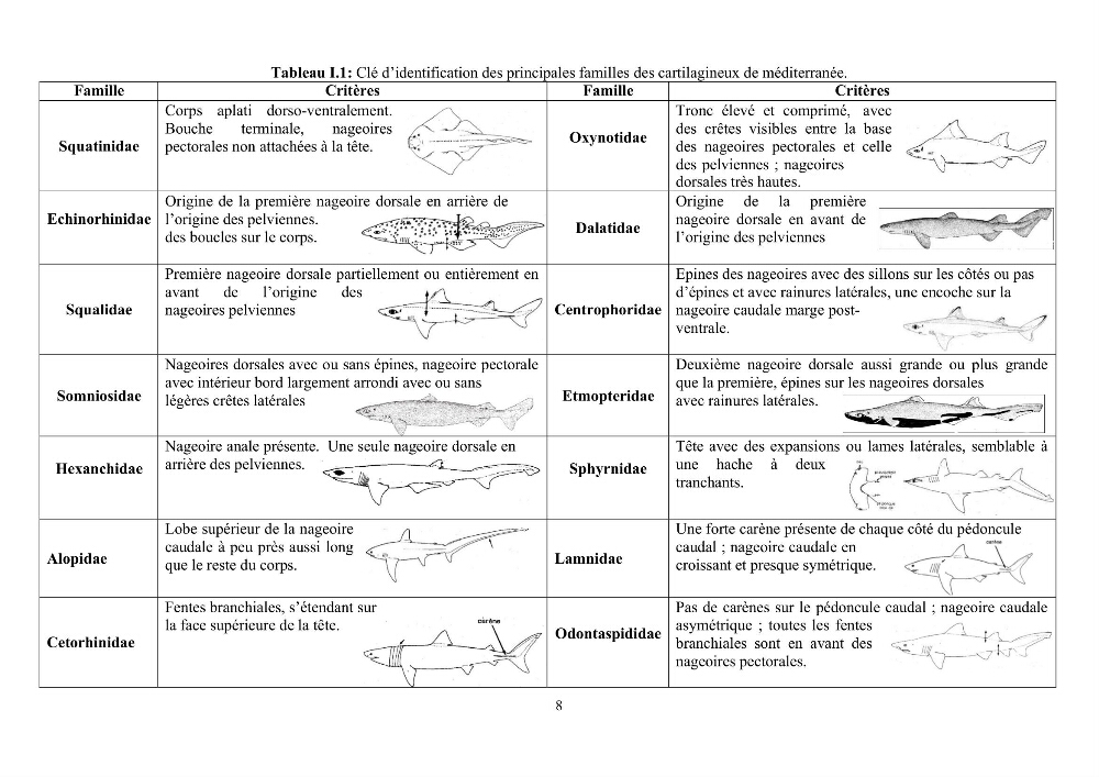 Contribution à l’actualisation de l’inventaire des Chondrichthyens exploités dans les côtes algériennes: biologie de reproduction, régime alimentaire et exploitation de quelques représentants.