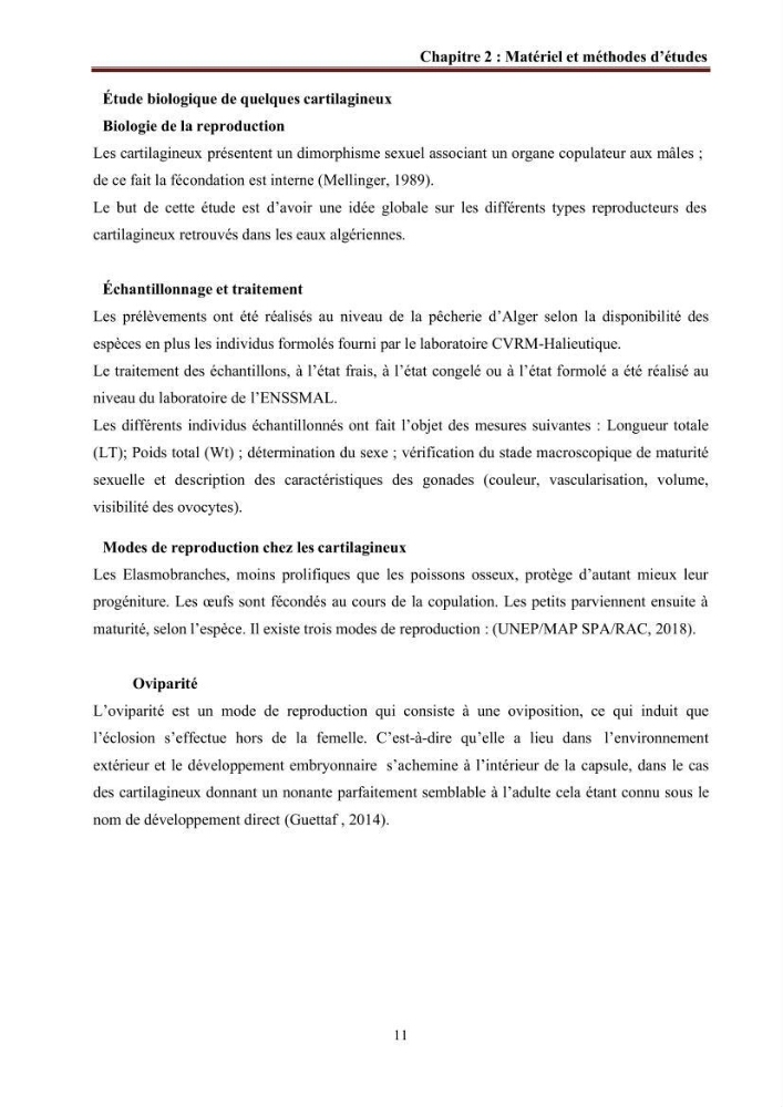 Contribution à l’actualisation de l’inventaire des Chondrichthyens exploités dans les côtes algériennes: biologie de reproduction, régime alimentaire et exploitation de quelques représentants.