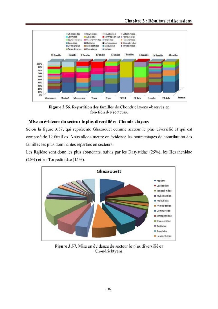 Contribution à l’actualisation de l’inventaire des Chondrichthyens exploités dans les côtes algériennes: biologie de reproduction, régime alimentaire et exploitation de quelques représentants.