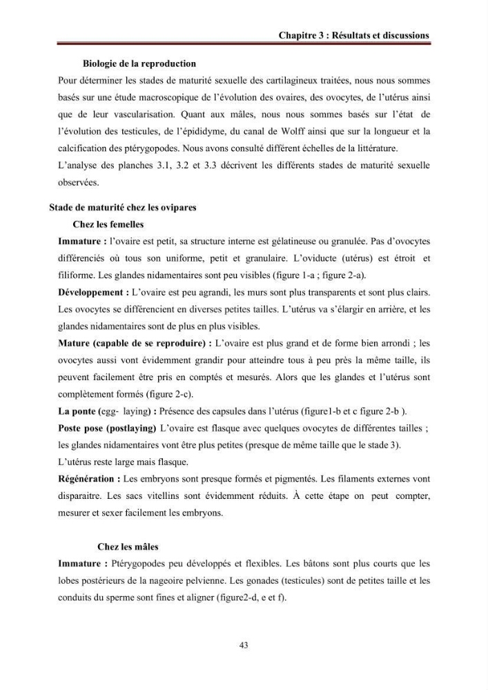 Contribution à l’actualisation de l’inventaire des Chondrichthyens exploités dans les côtes algériennes: biologie de reproduction, régime alimentaire et exploitation de quelques représentants.