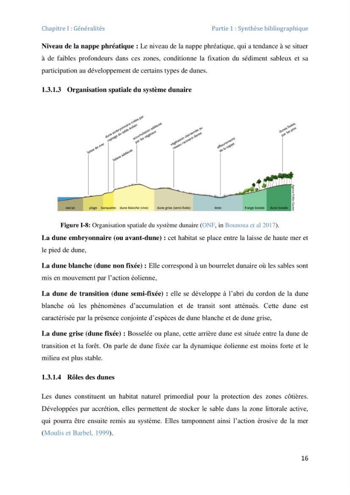 Etude et evaluation de la vulnerabilité des systèmes cotiers dans la région Algéroise