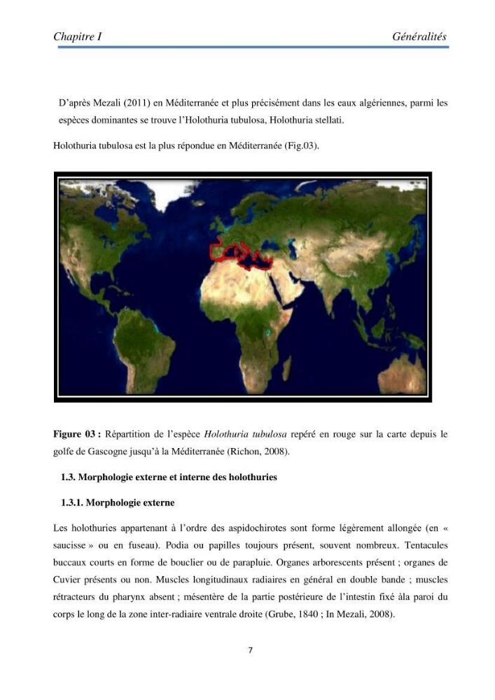 Essai d\'élevage du concombre de mer