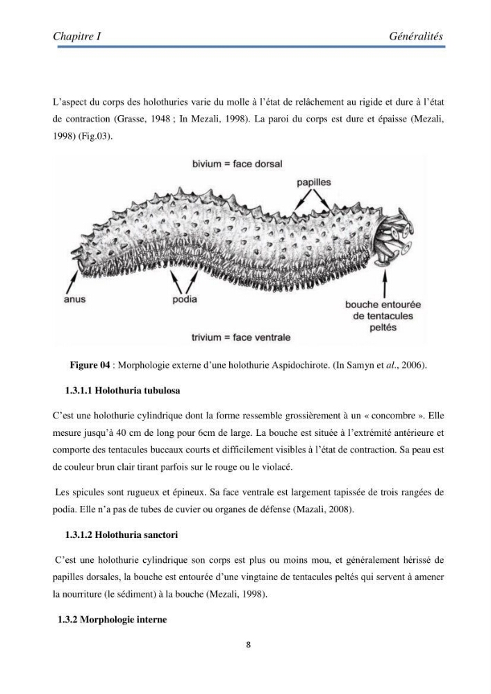 Essai d\'élevage du concombre de mer