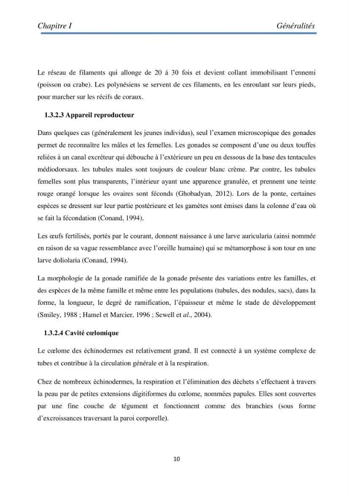 Essai d\'élevage du concombre de mer