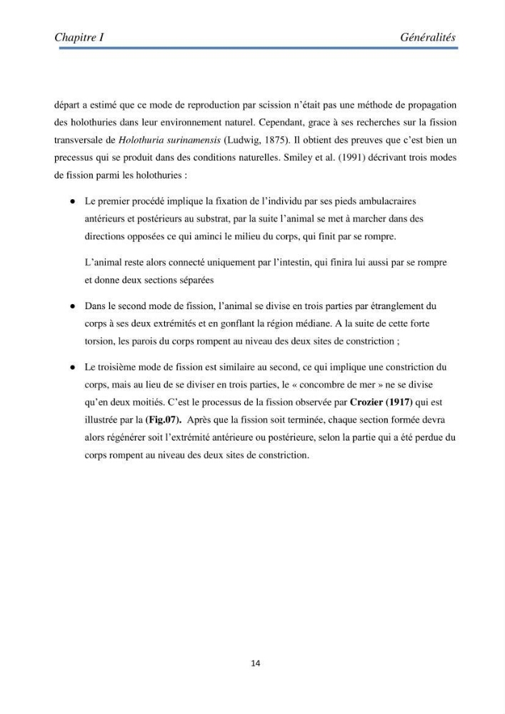 Essai d\'élevage du concombre de mer