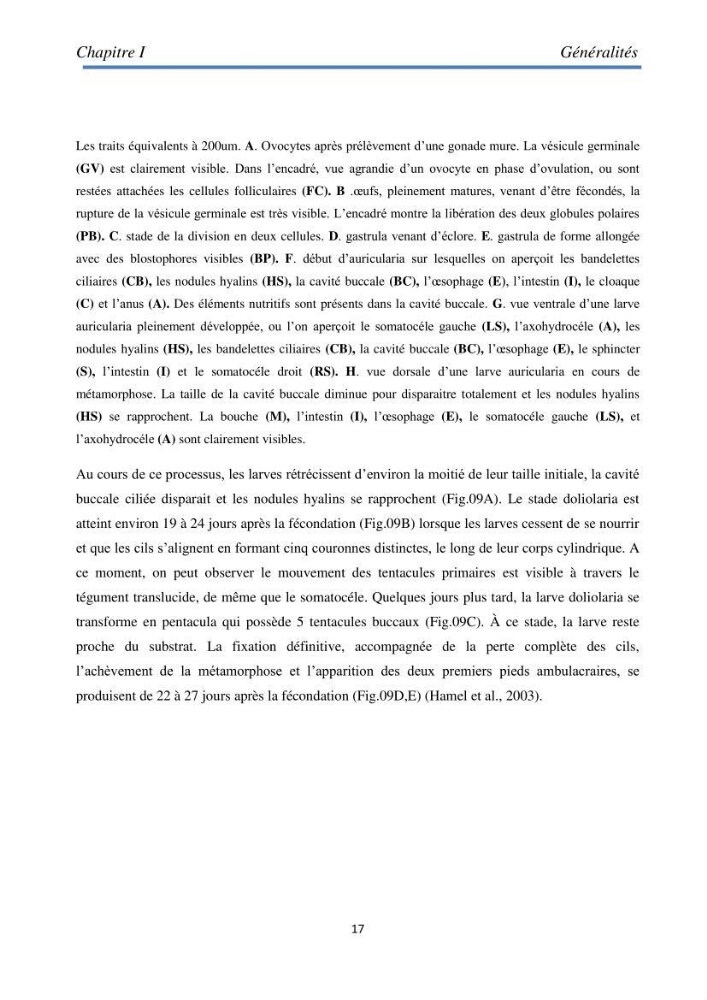 Essai d\'élevage du concombre de mer