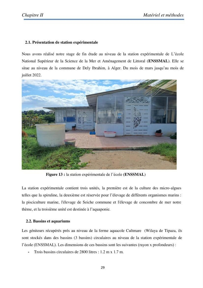 Essai d\'élevage du concombre de mer