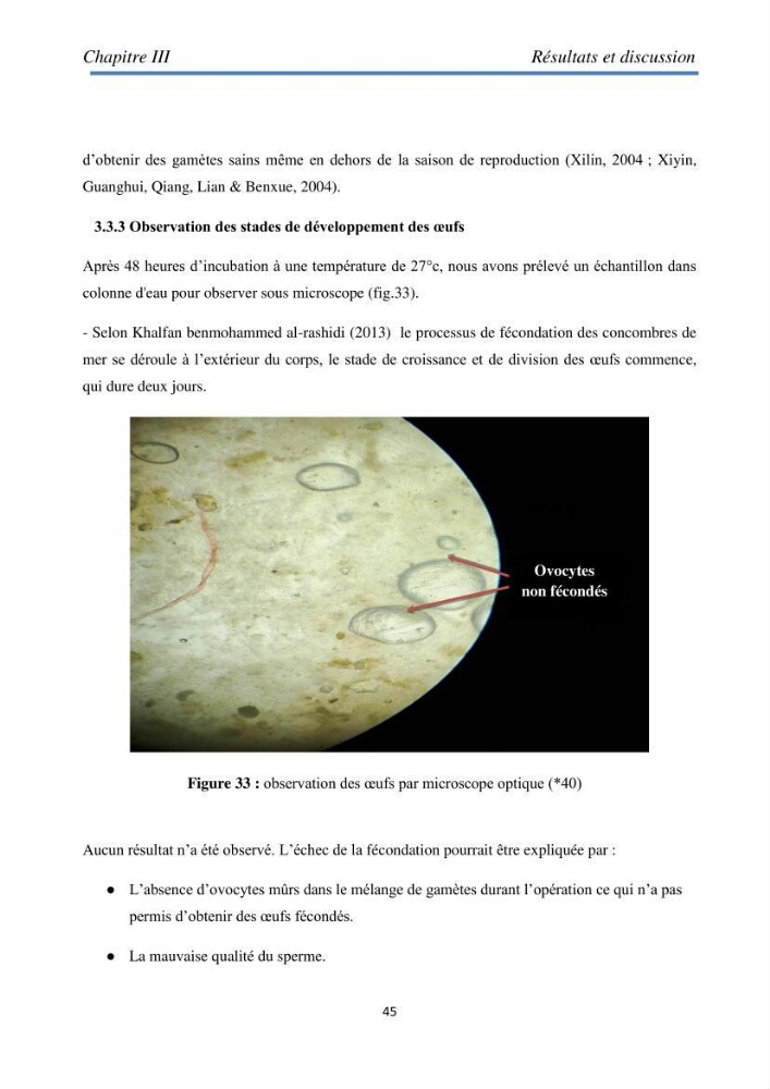 Essai d\'élevage du concombre de mer