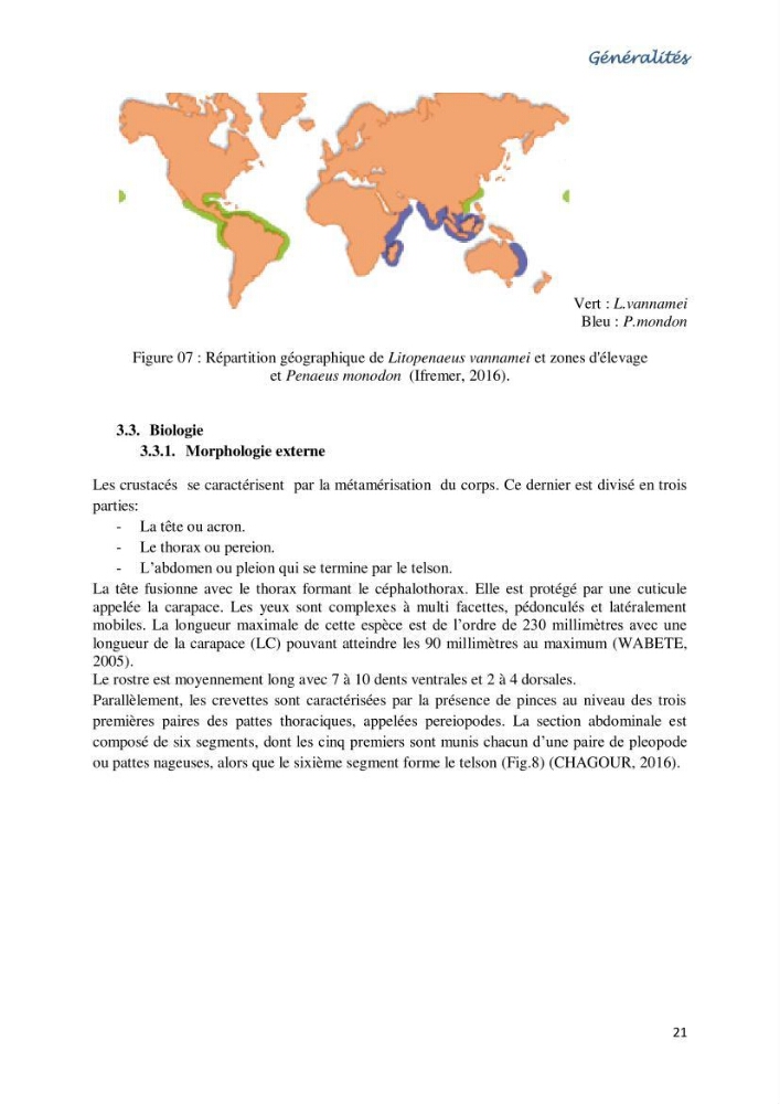 Caracterisation de l\'elevage de la crevette Litopenaeus vannamei ( boone,1931) Ferme Pilote la marsa (Skikda)