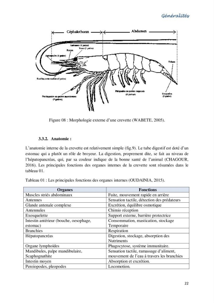 Caracterisation de l\'elevage de la crevette Litopenaeus vannamei ( boone,1931) Ferme Pilote la marsa (Skikda)