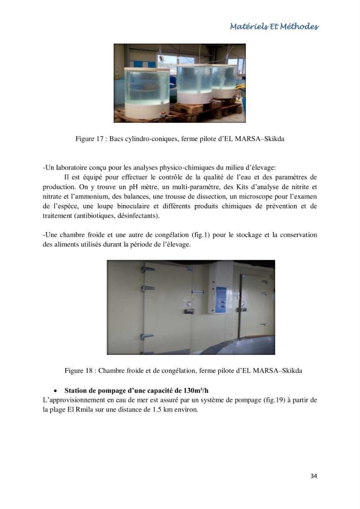 Caracterisation de l\'elevage de la crevette Litopenaeus vannamei ( boone,1931) Ferme Pilote la marsa (Skikda)
