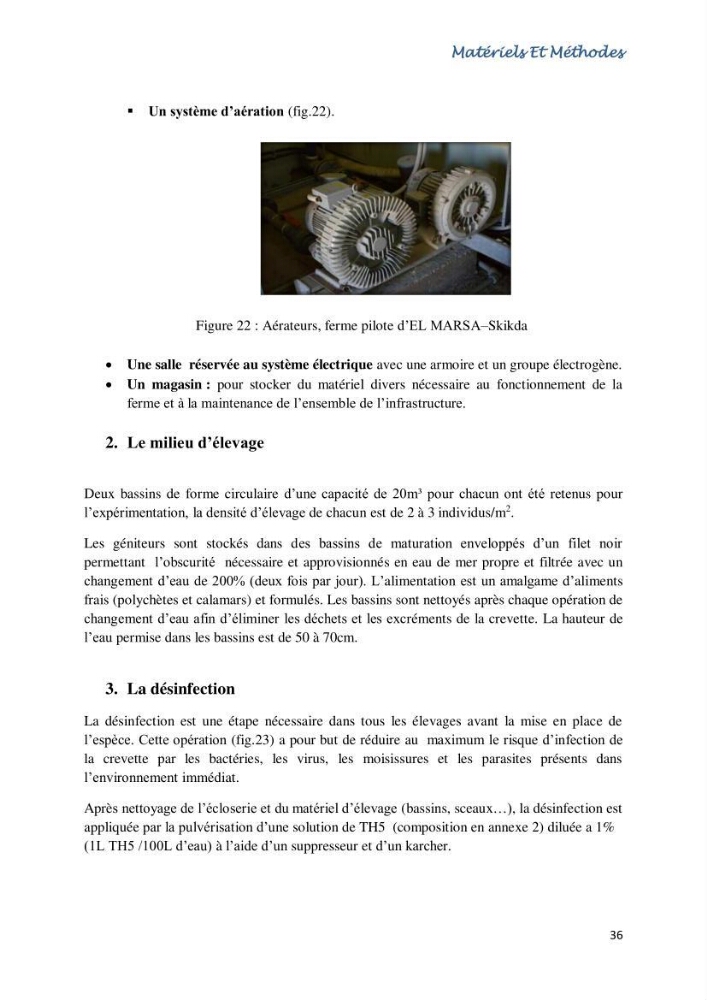 Caracterisation de l\'elevage de la crevette Litopenaeus vannamei ( boone,1931) Ferme Pilote la marsa (Skikda)