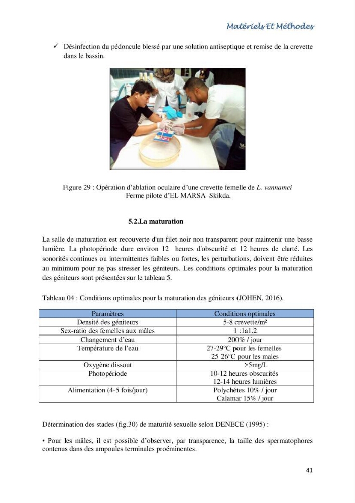 Caracterisation de l\'elevage de la crevette Litopenaeus vannamei ( boone,1931) Ferme Pilote la marsa (Skikda)
