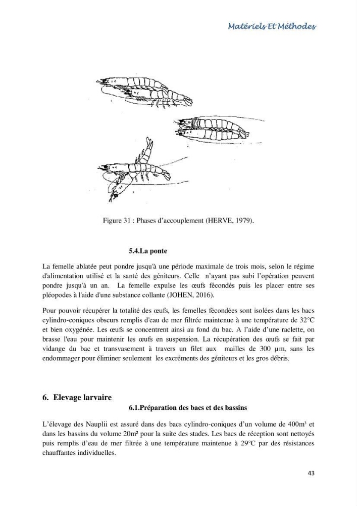Caracterisation de l\'elevage de la crevette Litopenaeus vannamei ( boone,1931) Ferme Pilote la marsa (Skikda)