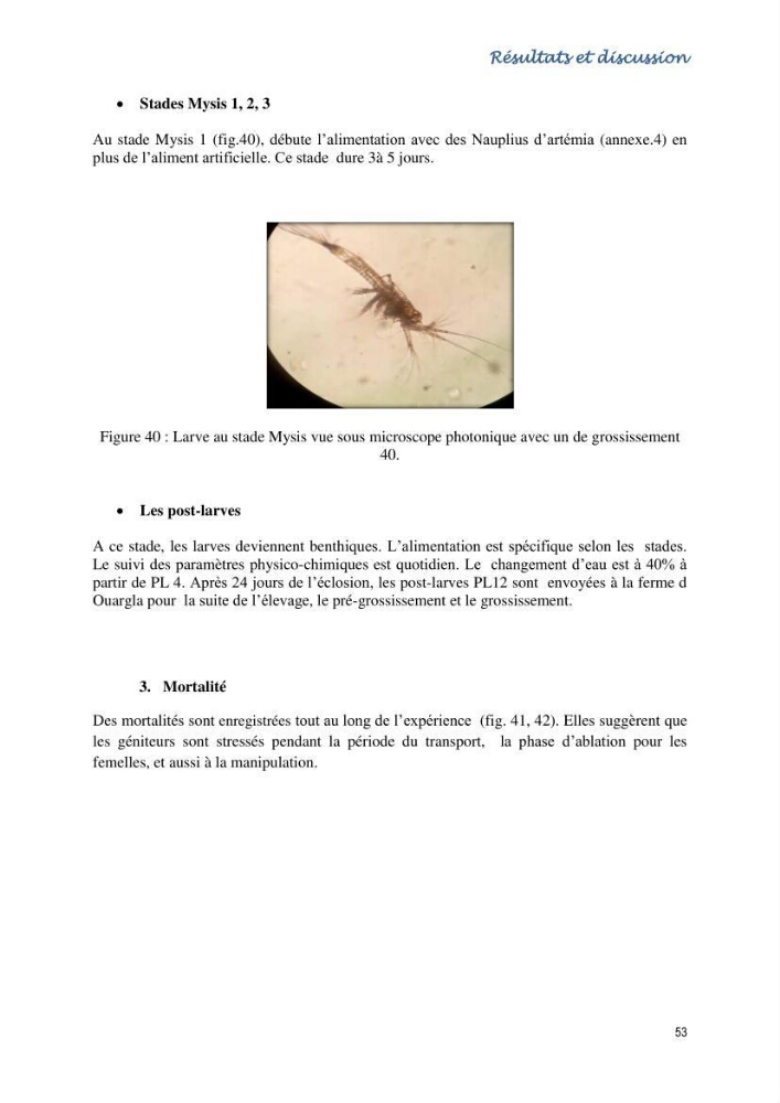 Caracterisation de l\'elevage de la crevette Litopenaeus vannamei ( boone,1931) Ferme Pilote la marsa (Skikda)
