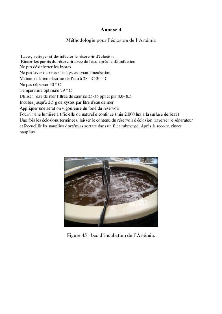 Caracterisation de l\'elevage de la crevette Litopenaeus vannamei ( boone,1931) Ferme Pilote la marsa (Skikda)